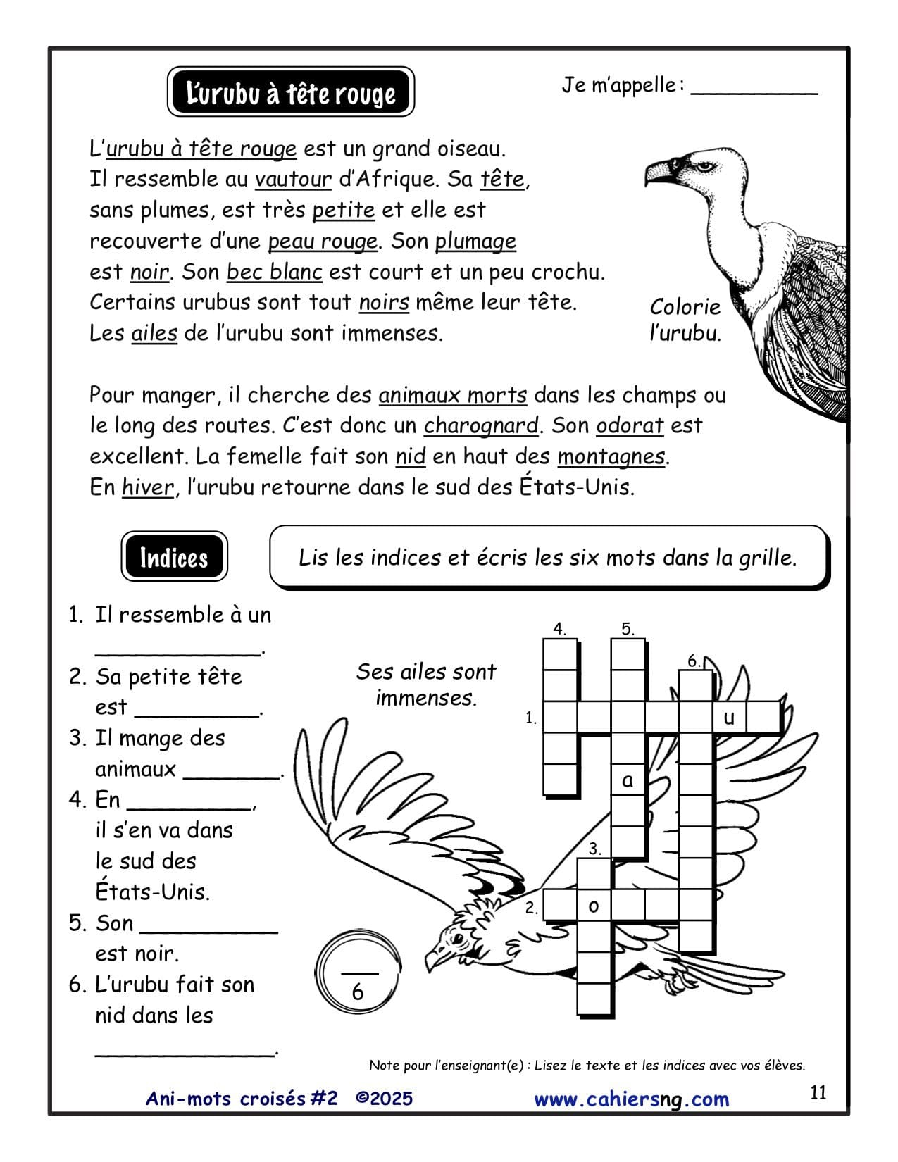 Ani-mots croisés - Volume #2 - 3e/4e années - NOUVEAUTÉ !! – Image 4