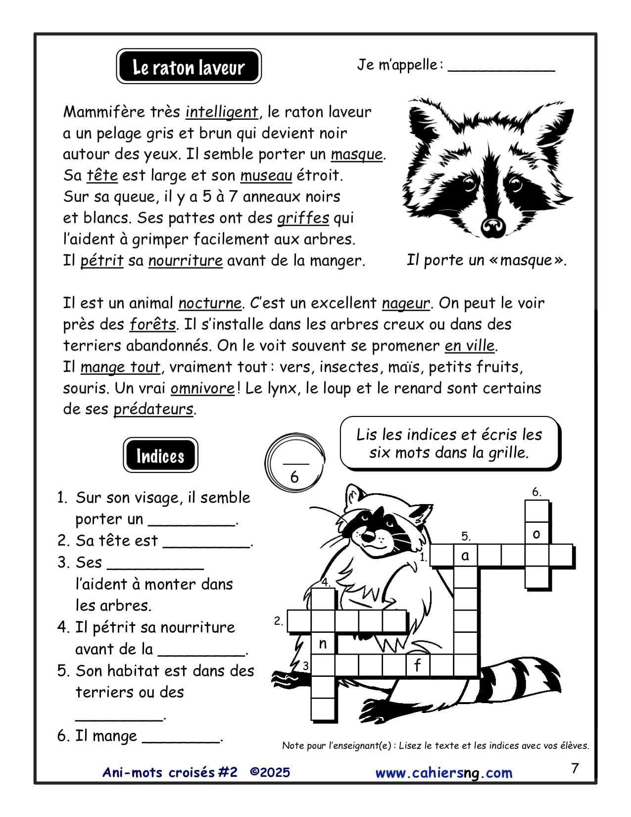Ani-mots croisés - Volume #2 - 3e/4e années - NOUVEAUTÉ !! – Image 3