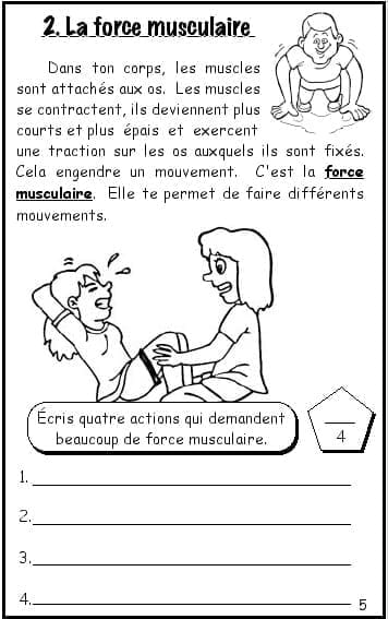 Carnets de sciences (3e année) - PDF – Image 2