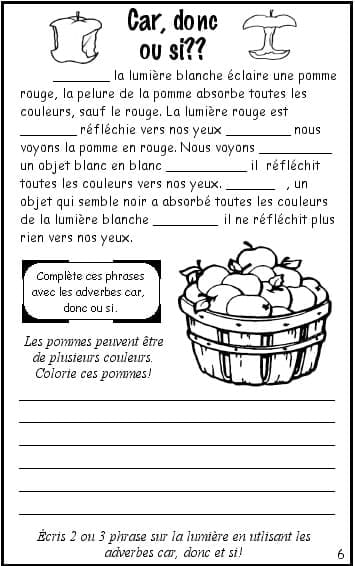 Carnets de sciences (4e année) - PDF – Image 2
