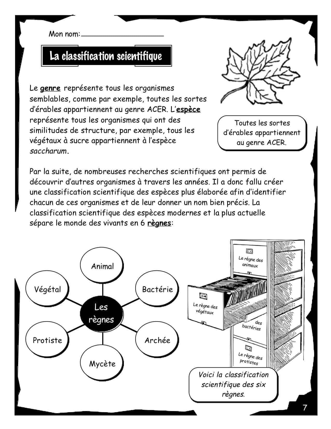 La cellule - Volume#1 (8e) - PDF – Image 3