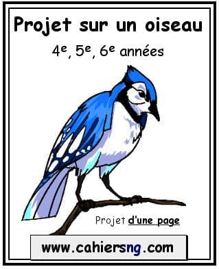 Projet sur un oiseau - (4e/5e)