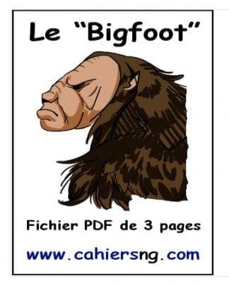 Le "Bigfoot" (5e/6e) - PDF