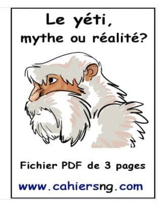 Le yéti (5e/6e) - PDF