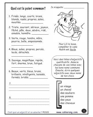 C'est quoi un adjectif et un adverbe ? (5e/6e) - Point commun