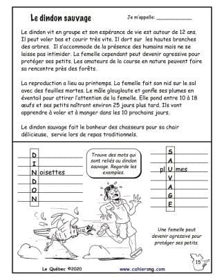 Le Québec (5e/6e) - Le dindon sauvage