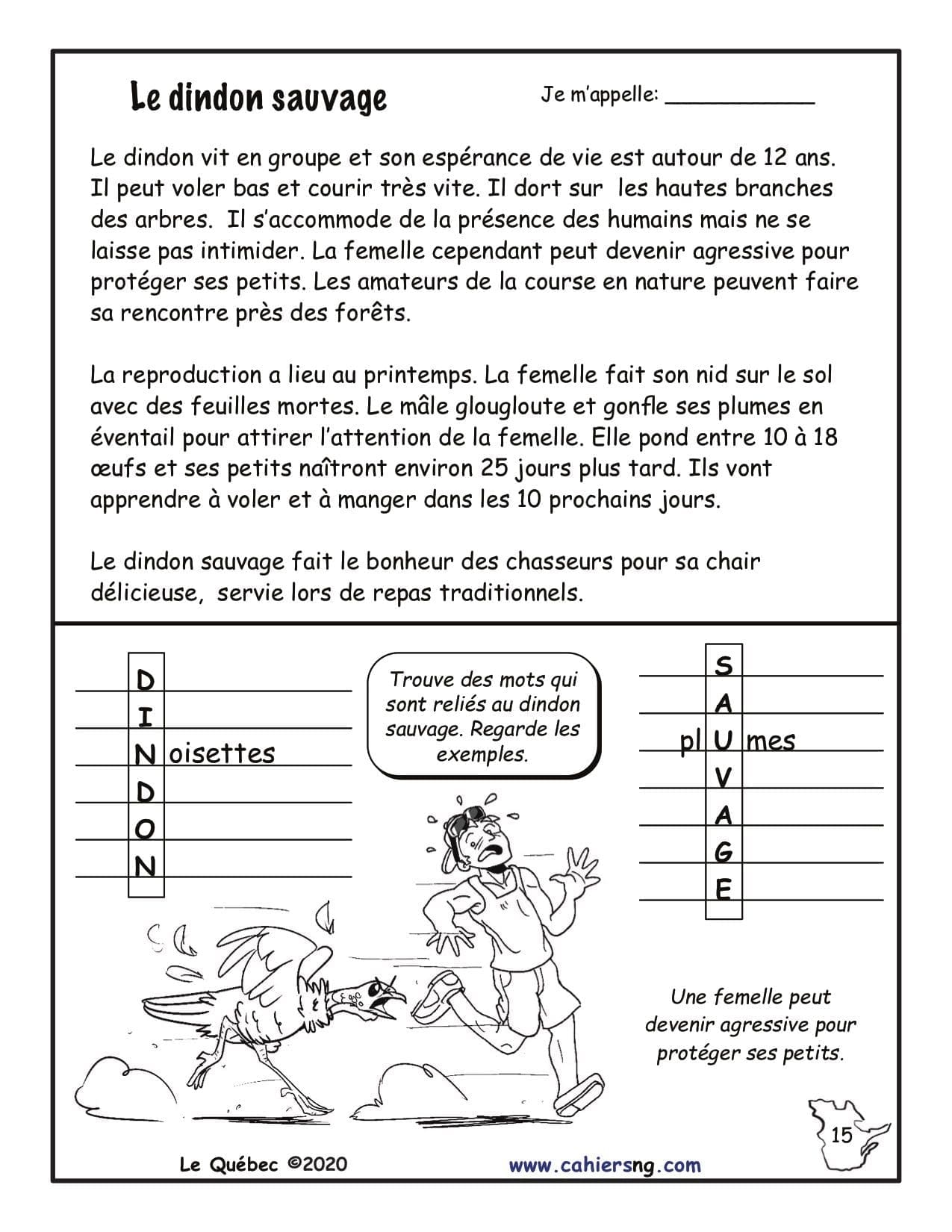 Le Québec (5e/6e) - Le dindon sauvage