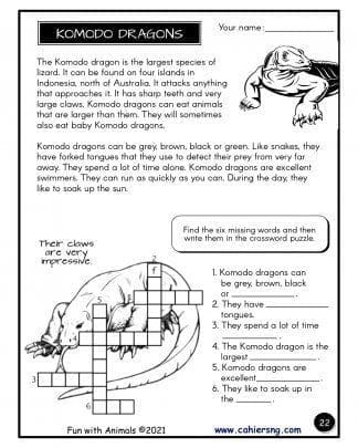 Fun with animals (Grades 2/3) - Komodo dragons