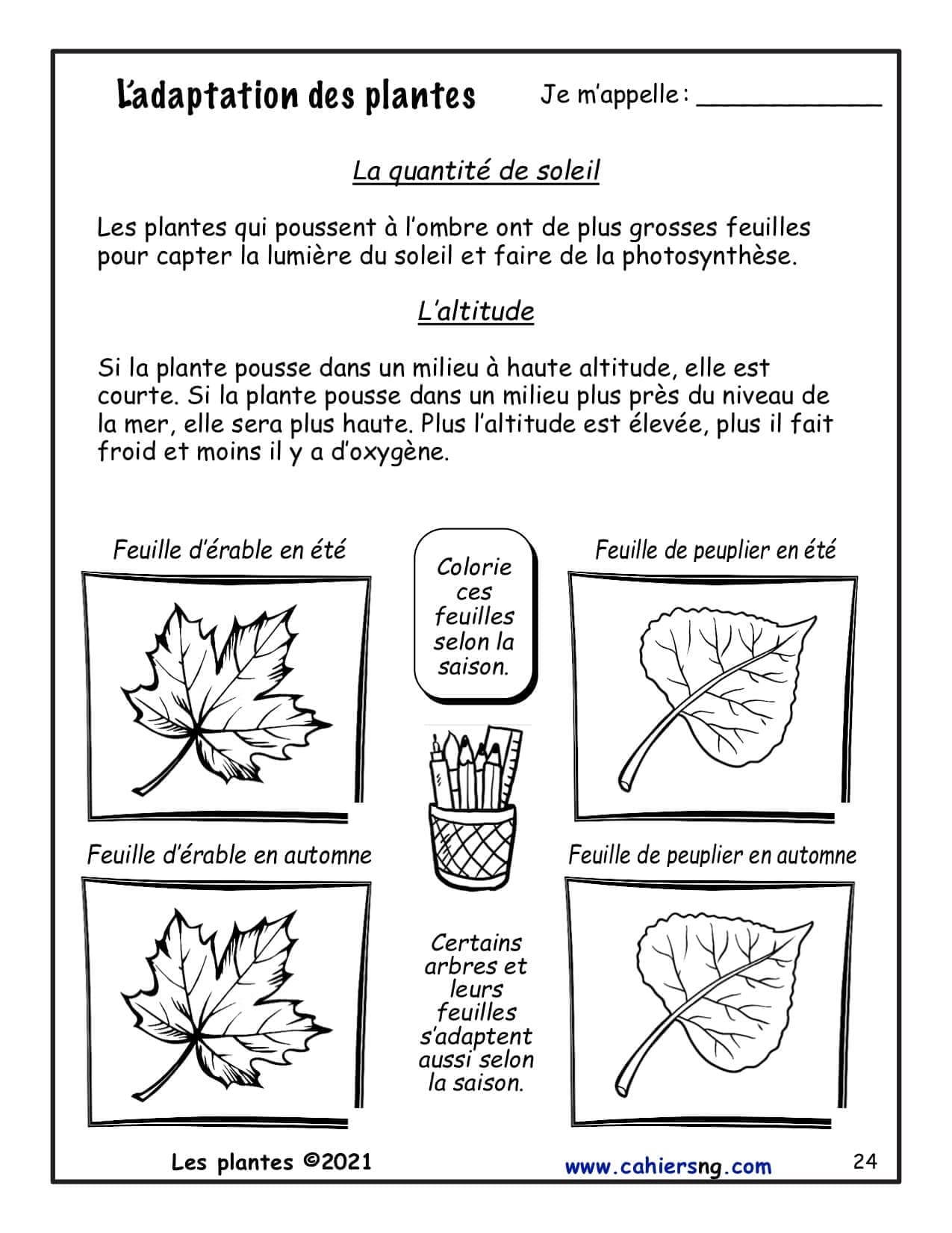 Les plantes (3e) - Nouvelle série ! – Image 4