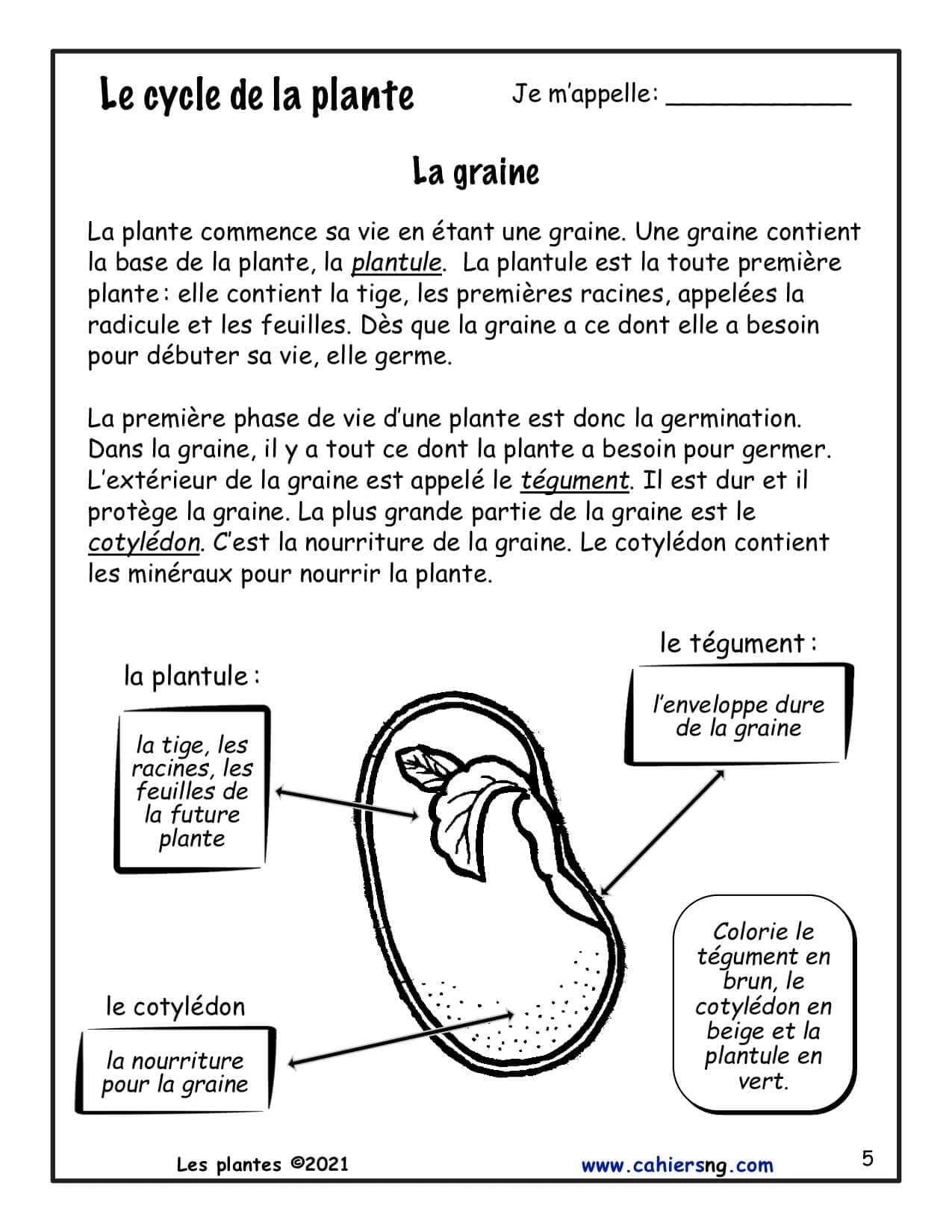 Les plantes (3e) - Nouvelle série ! – Image 3