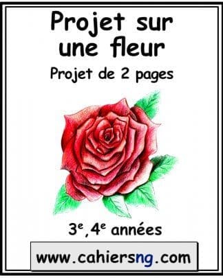 Projet sur une fleur - (3e/4e)