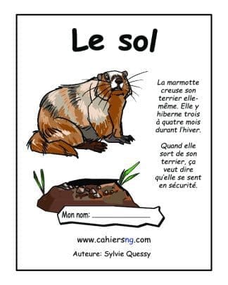 3e année - Le sol - "HYBRIDE"