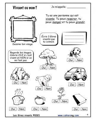 Les êtres vivants - Nouvelle série - Vivant ou non ?