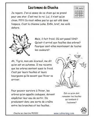 Chacha se cherche (3e/4e) - L'automne de Chacha