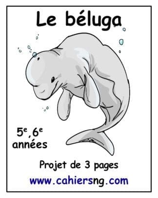 Le béluga (5e/6e) - PDF