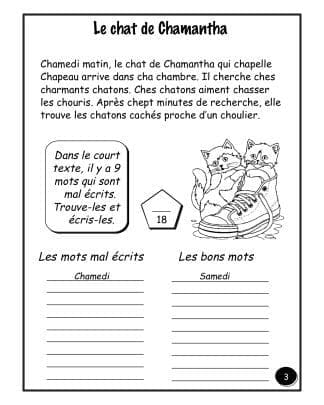 Les animaux - (2e/3e) - Le chat de Chamantha