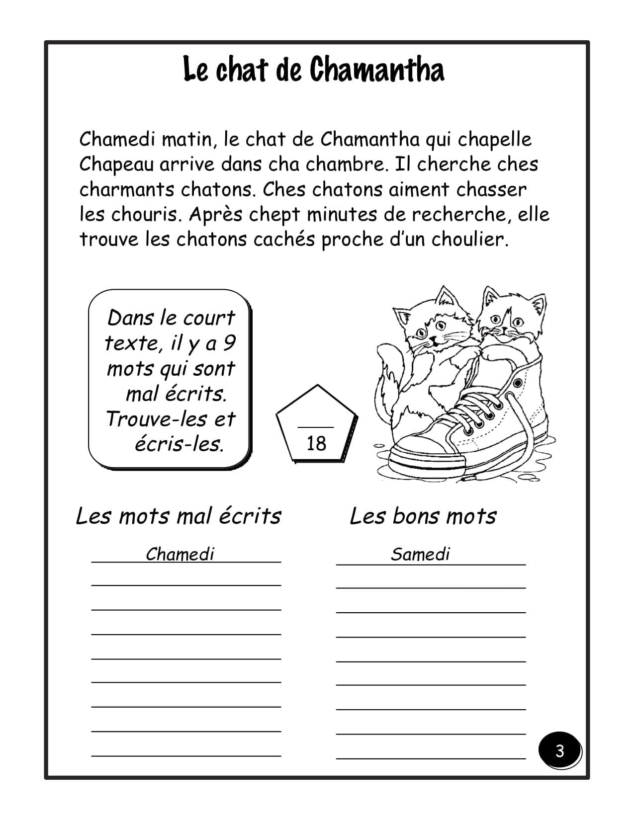 Les animaux - (2e/3e) - Le chat de Chamantha
