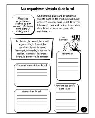 Le sol – Hybride (3e/4e) - Organismes vivants