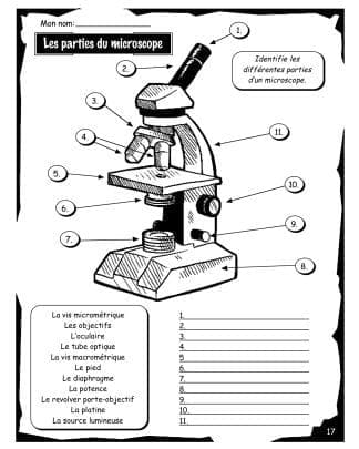 La cellule - Volume #1 (8e) - Le microscope