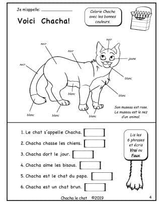 Chacha le chat (1re/2e) - Ses couleurs