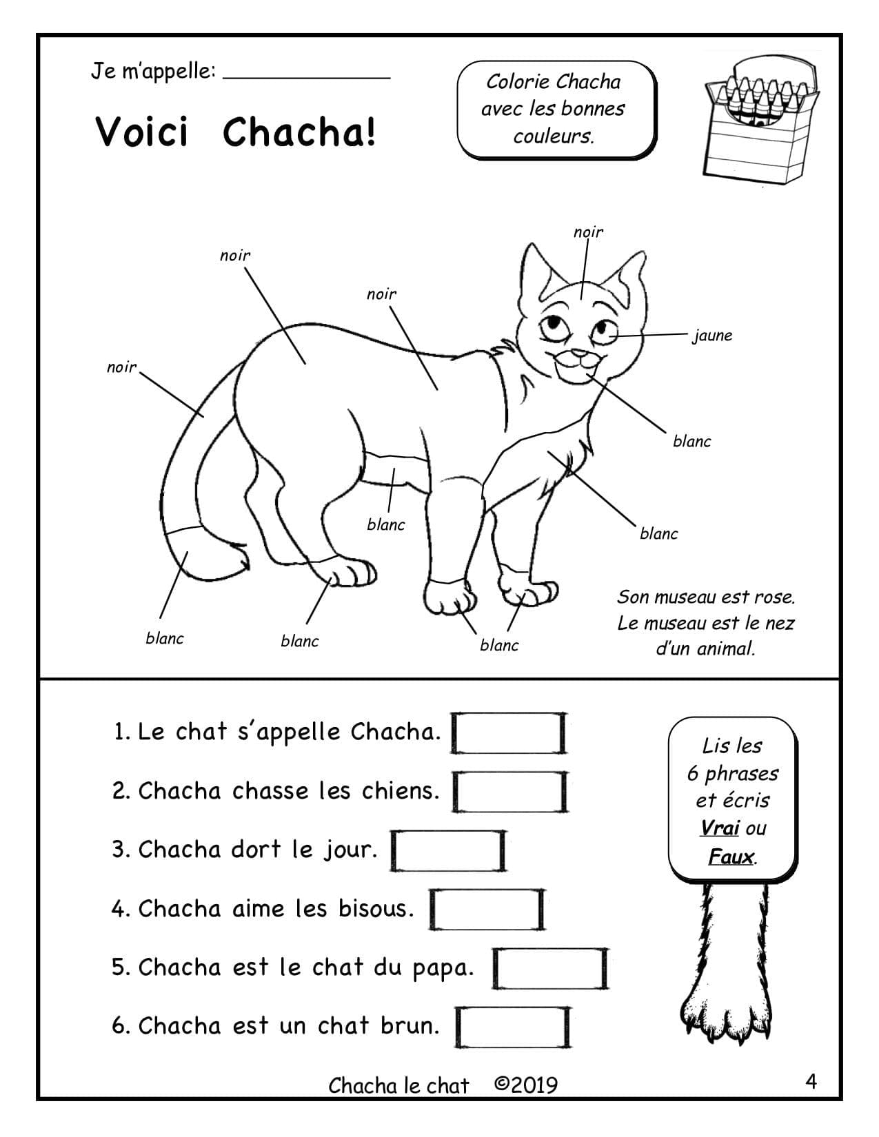 Chacha le chat (1re/2e) - Ses couleurs