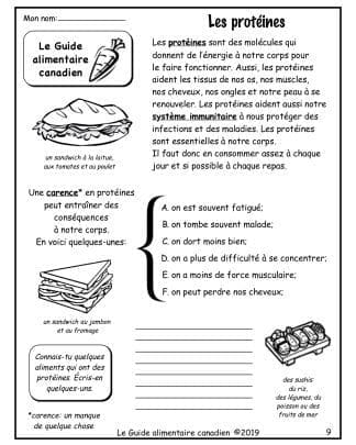 Le Guide alimentaire canadien (4e/5e) - Les protéines