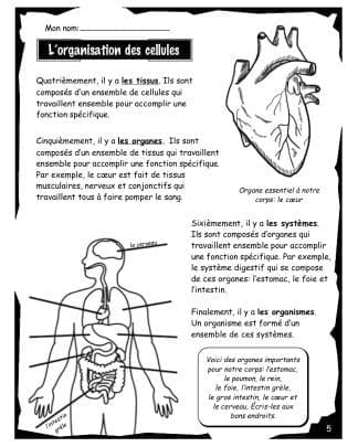 La cellule - Volume #2 (8e) - Les organes