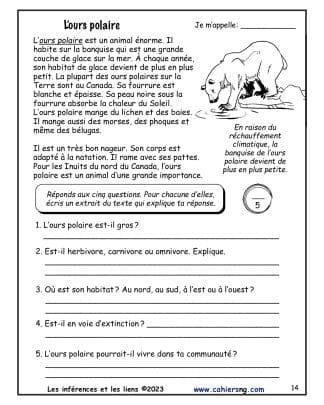 Les inférences - Les animaux du Canada - L'ours polaire