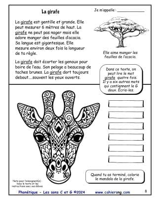 Phonétique : les sons C et G - La girafe
