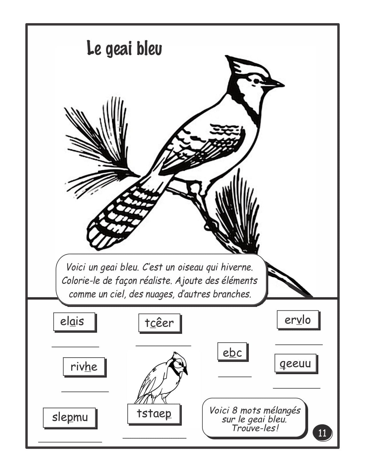 PDF - C'est l'hiver! - 4e année - "HYBRIDE" – Image 3