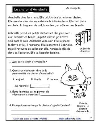 C'est pas dans le texte (3e/4e - Inférences) - Le chaton