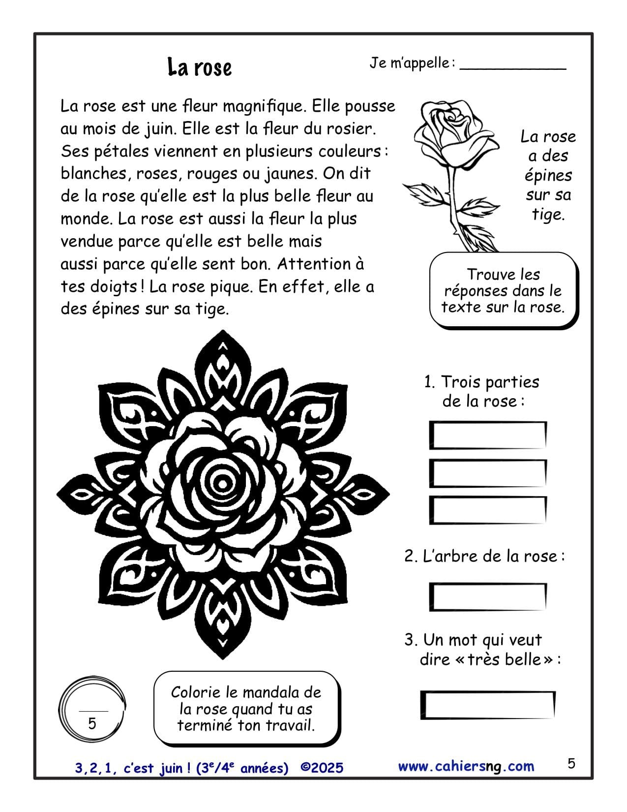 3, 2, 1, c'est juin ! - 3e/4e années - Nouveauté ! – Image 3