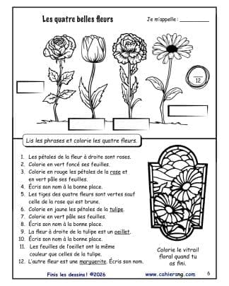 Finis les dessins ! 3e année - Les fleurs